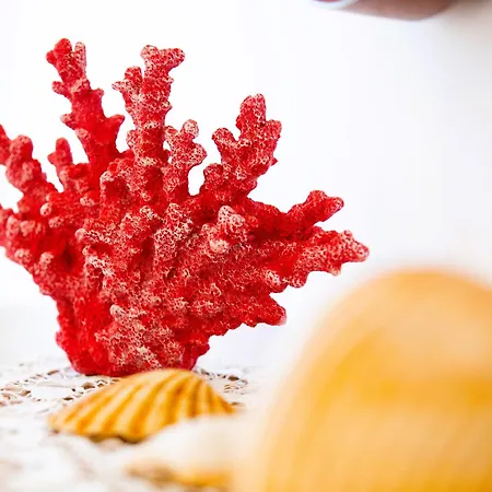 Daire Mare E Castello *